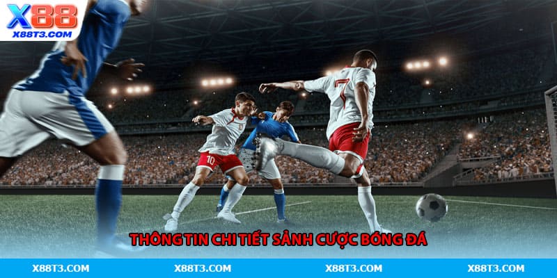 Thông tin chi tiết sảnh cược bóng đá