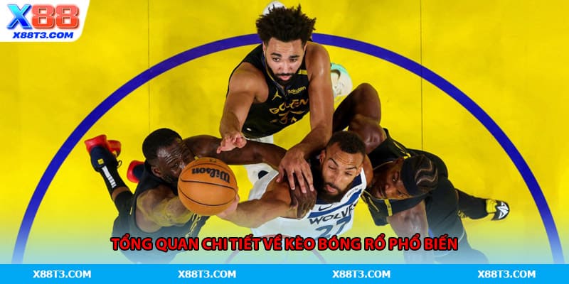 Tổng quan chi tiết về kèo bóng rổ phổ biến